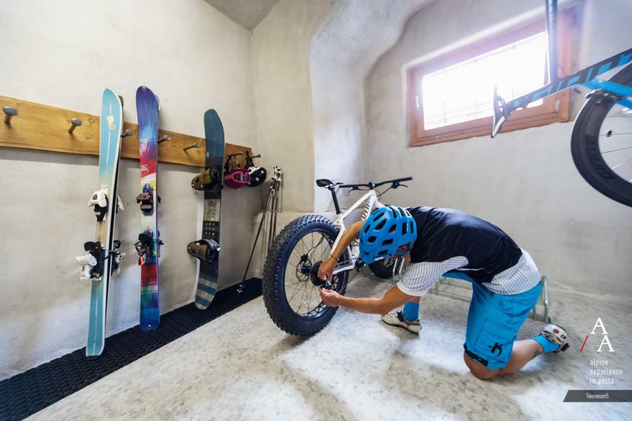 Alp Apartments Ski & Bike - Tourneuve5 Aosta Eksteriør billede